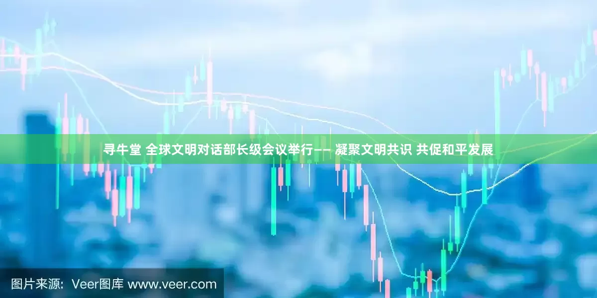 寻牛堂 全球文明对话部长级会议举行—— 凝聚文明共识 共促和平发展