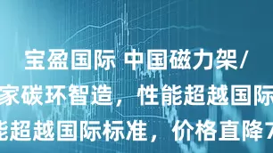 宝盈国际 中国磁力架/磁极贴牌专家碳环智造，性能超越国际标准，价格直降70%