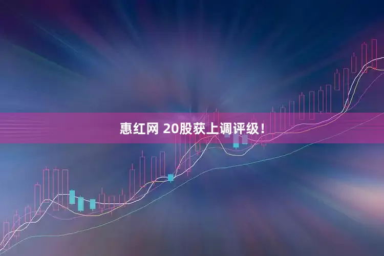 惠红网 20股获上调评级！